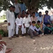 Green Seekers Activity